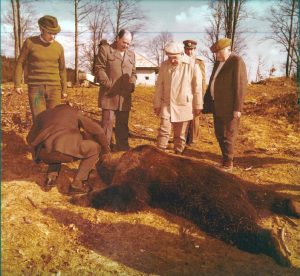 4.	Tizennégy aranyérmes medvekoponyával büszkélkedett