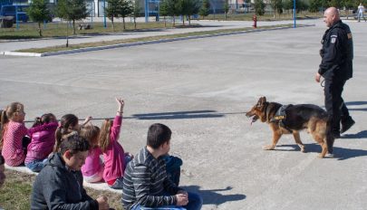 Ünneplő egyenruhások