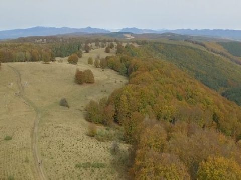 Közelebb a természethez