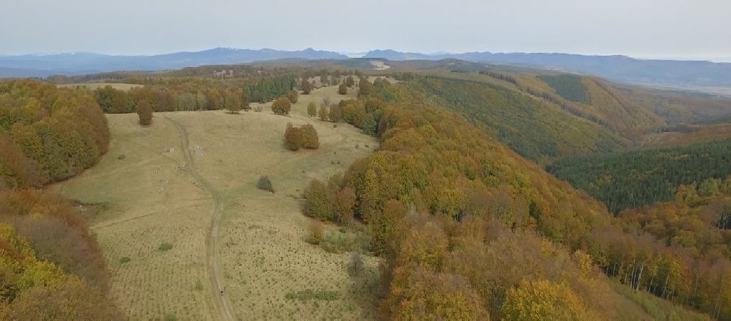 Közelebb a természethez