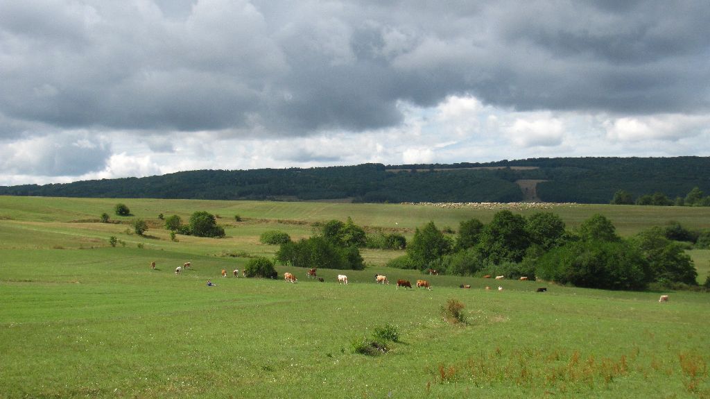 Olcsóbb a legelő