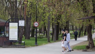 Őrült biciklis a parkban