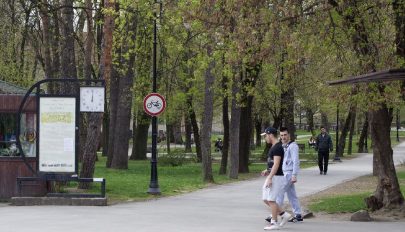 Őrült biciklis a parkban