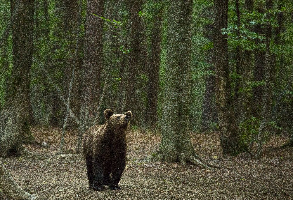 Valakiknek hasznos a hisztéria?