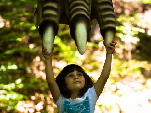 Menjünk a rozsnyói dinóparkba!