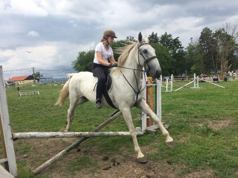 Lovas napok Zabolán és Nyujtódon