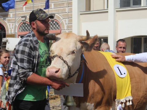 Első vagy második AgroFeszt?