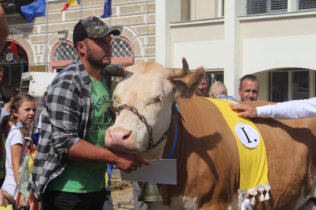 Első vagy második AgroFeszt?