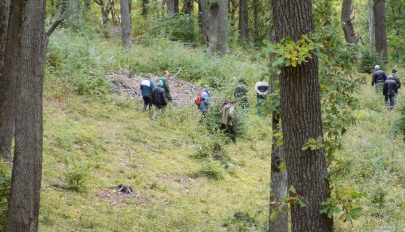 Értékesíthetetlen faanyag