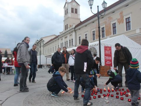 Sikeres gyűjtés