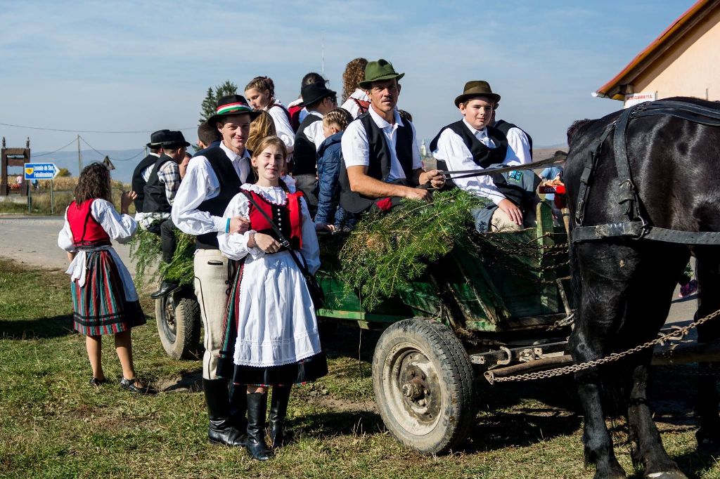 Tisztelt Szerkesztőség!