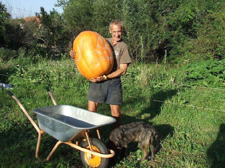 Az Ezerjófű tanya ezer arca