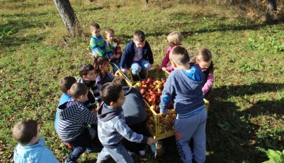 Őszi barangoló Fotosmartonoson