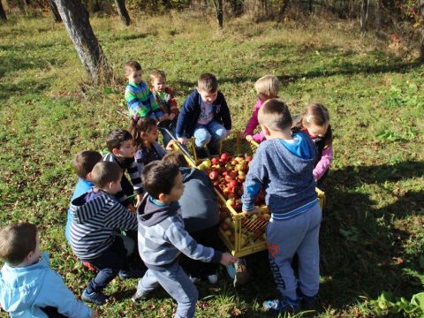 Őszi barangoló Fotosmartonoson