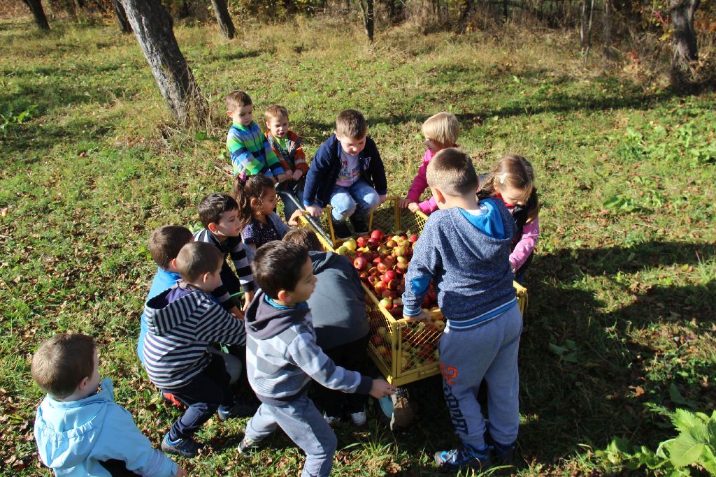 Őszi barangoló Fotosmartonoson