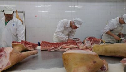 Húsfeldolgozókat képeznek