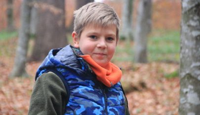 T-fák várják  a ragadozó madarakat