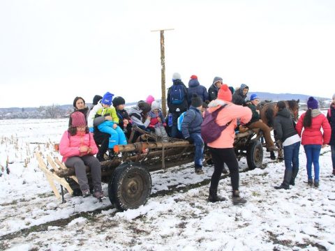 Madarakért tevékenykedtek