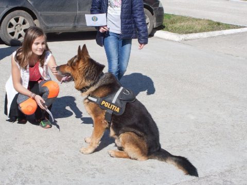 Tíz helyre közel százan