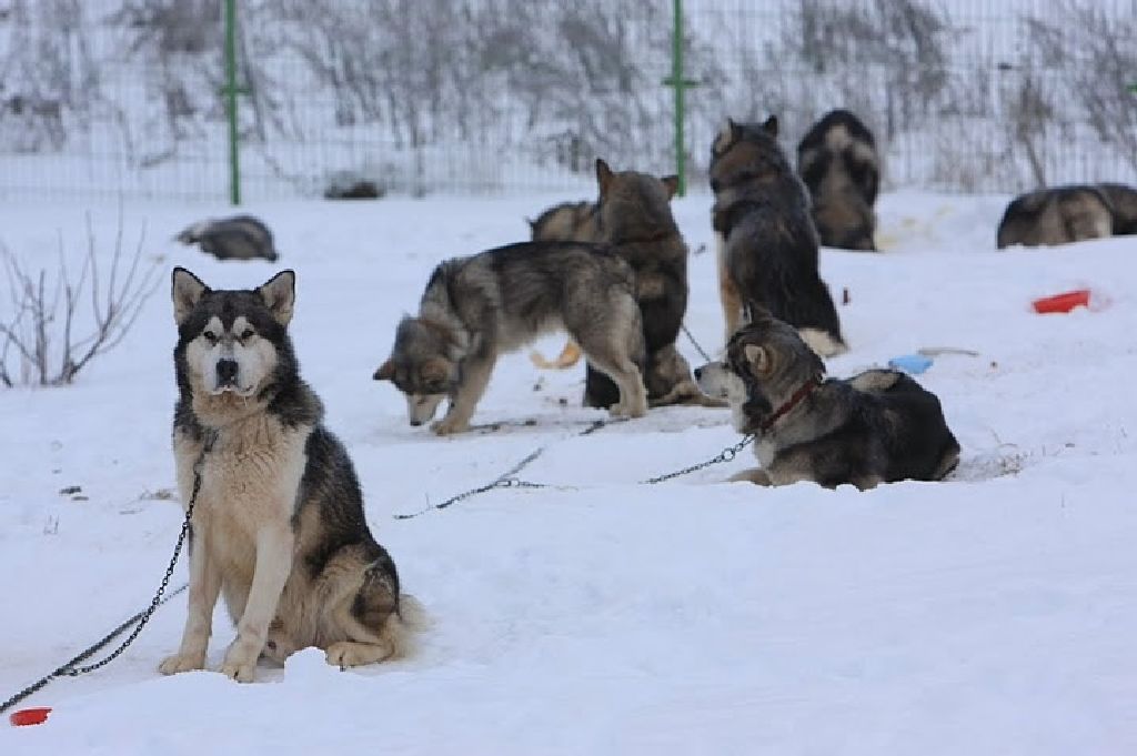 Plébánost is maguk közé csábítottak