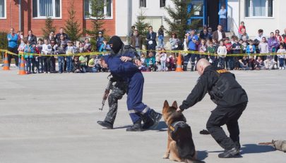 Csökkent a bűnözés