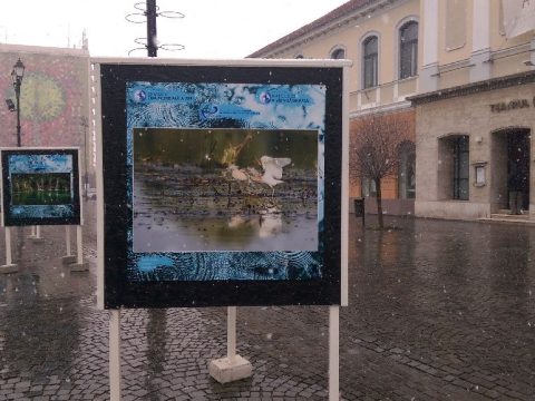 Fotókiállítás a korzón