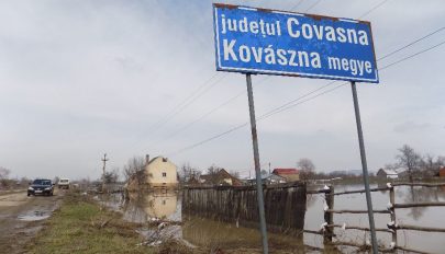 Hamis kép a köpeciekről