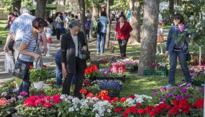 „Jövőben hamarabb rendezzük”