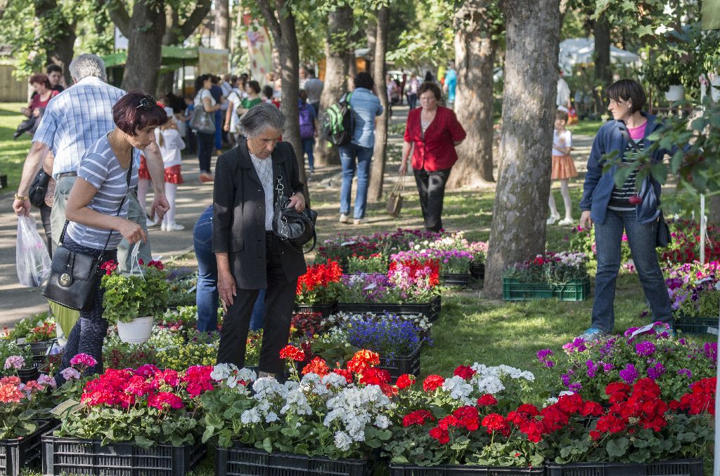 „Jövőben hamarabb rendezzük”