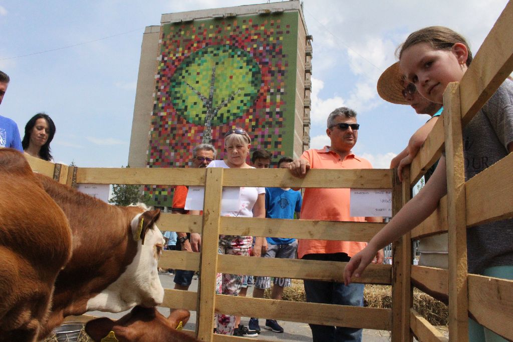 AgroFeszt harmadszor