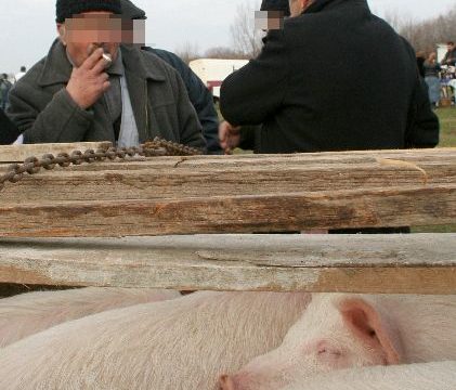 Büntetőeljárás indulhat!