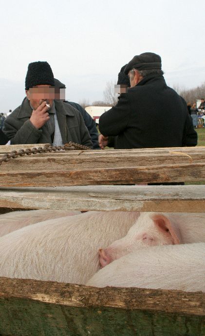 Büntetőeljárás indulhat!