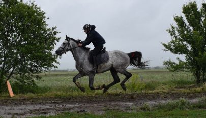 Kinizsi Pál a Székely Vágtán