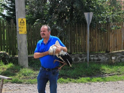 Gólyamentés Kálnokon