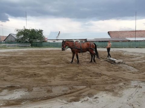 Lovastorna Kőröspatakon