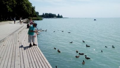 Ha nyár, akkor Balaton