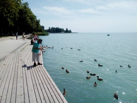 Ha nyár, akkor Balaton