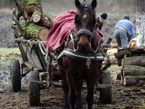 Fatolvajokat üldöztek a rendőrök