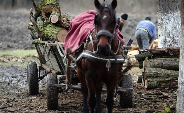 Fatolvajokat üldöztek a rendőrök