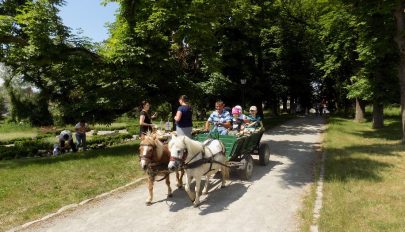 Megszólalnak a harsonák