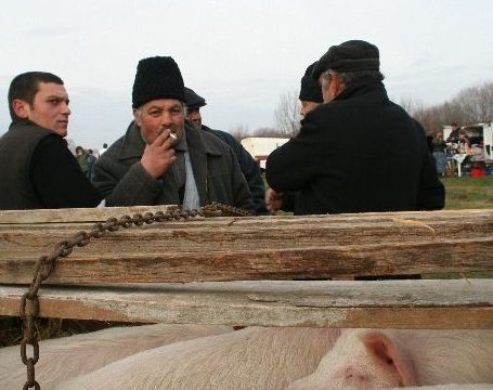 Bellértől malacot ne vegyünk!