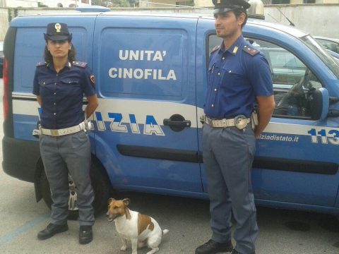 Ötezer eurós vérdíjat tűzött ki egy kutya fejére az olasz maffia