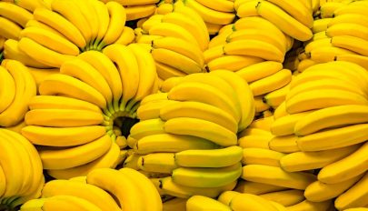 Több mint 6 tonna kokaint rejtettek a banánszállítmányba