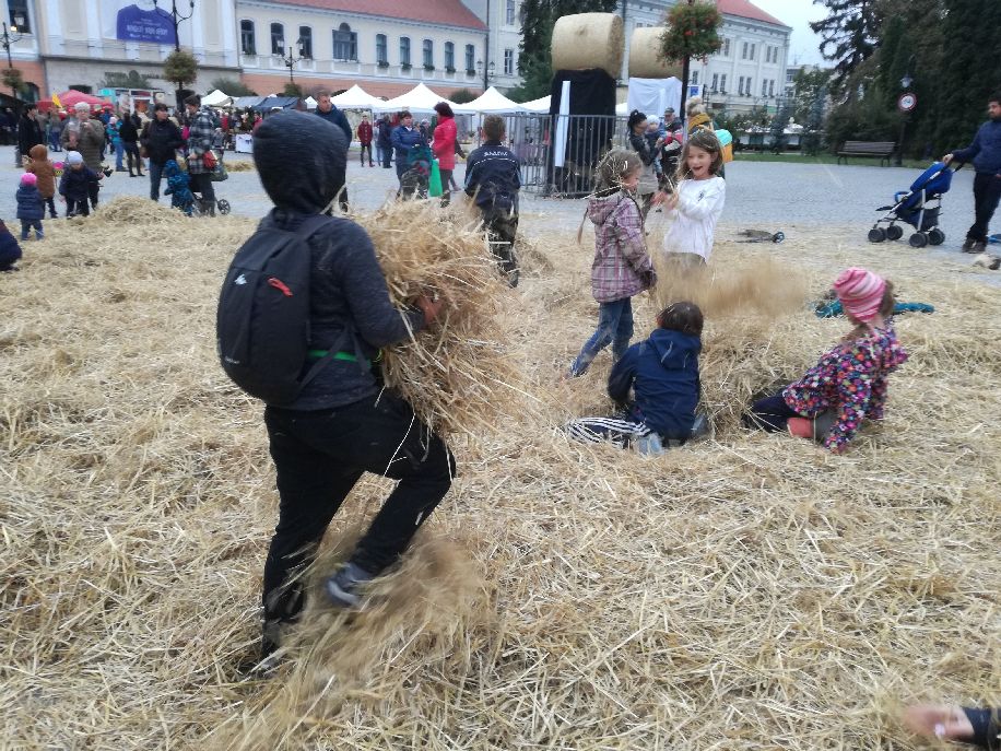 Jól mulatott a vásári nép