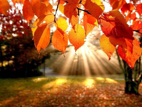 Felmelegedés, szép őszi idő várható a következő két hétben