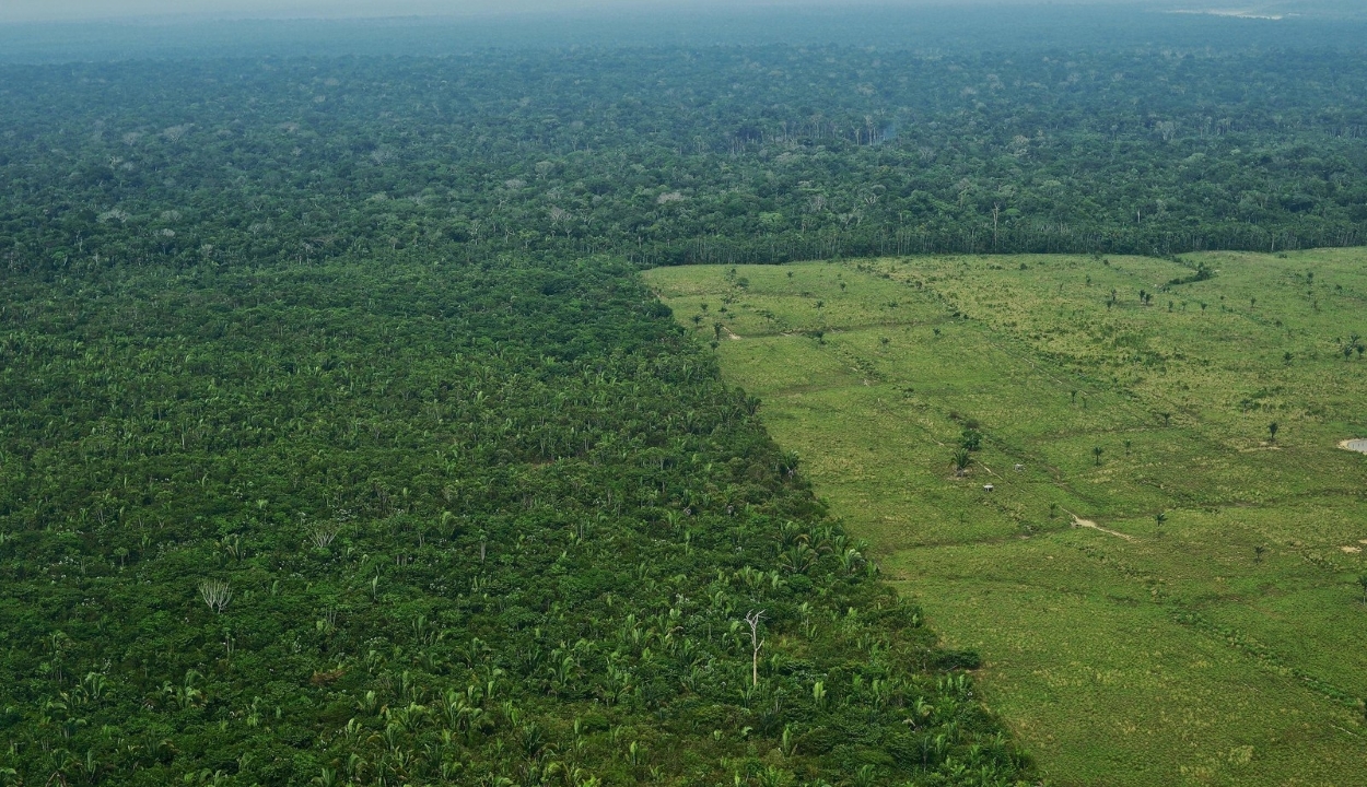 10 éve nem irtottak ki ennyi erdőt az Amazonas-medencében