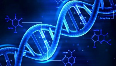 Nem a génjeinkben rejlik a hosszú élet titka
