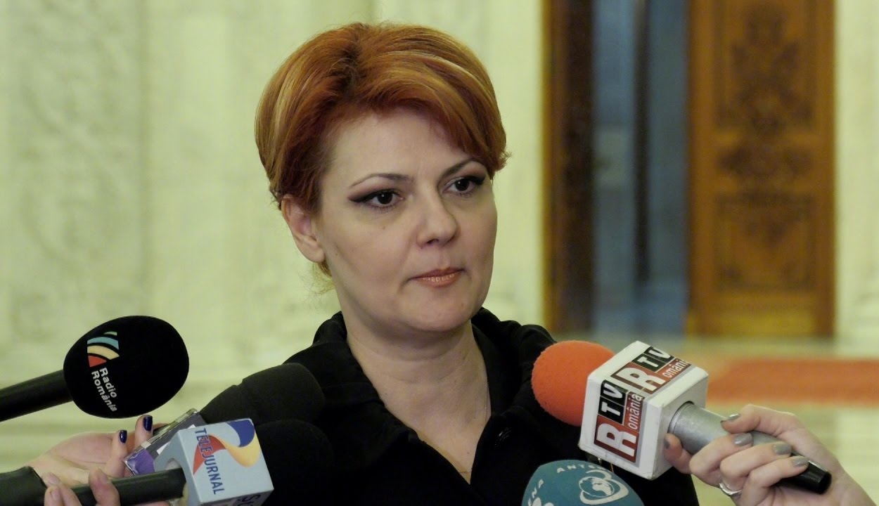 Lia Olguţa Vasilescu szerint 2019-ben népszámlálást kell tartani Romániában