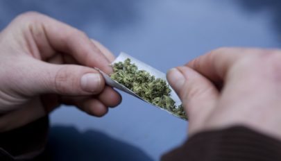 Tizenegy tonna kannabiszt foglalt le a rendőrség egy brüsszeli piacon