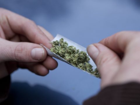 Tizenegy tonna kannabiszt foglalt le a rendőrség egy brüsszeli piacon